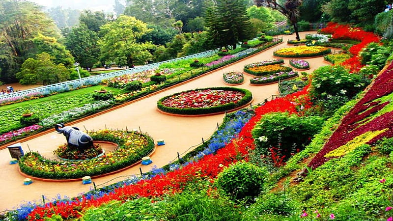 https://mouryaaruntravels.com/images/HD-wallpaper-ooty-botanical-garden-tamil-nadu-state-india-plants-blossoms-path-colors-trees.jpg